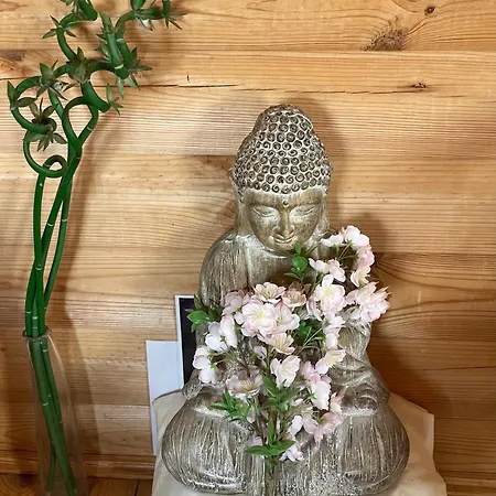 Σαλέ Boreal Pujaudran